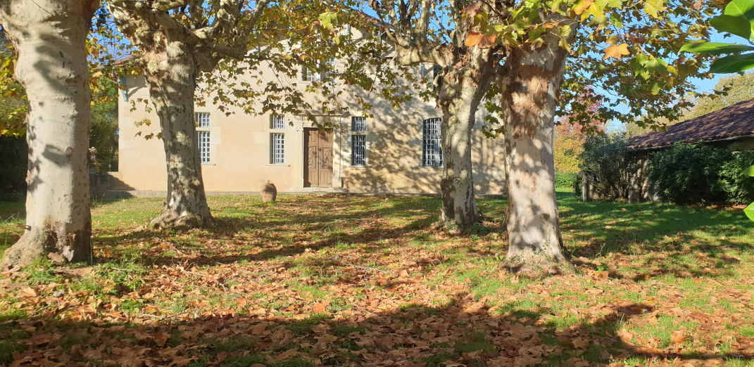 La photo montre l’entrée de la maison Peyne depuis le portail. La cour intérieure est plantée de platanes.