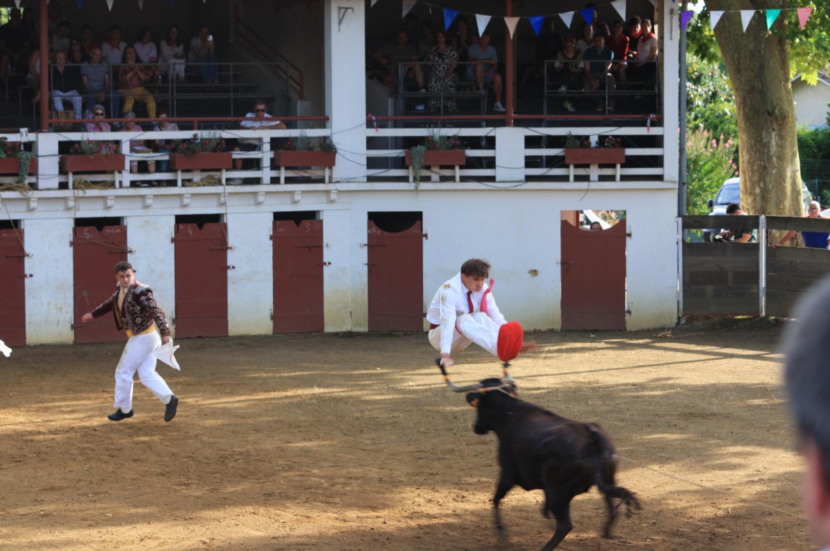 IMG_5889.JPG
